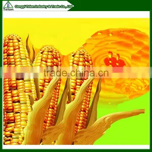 High Automatically Corn Oil Press Machine With Refinery Process Provided thumbnail-1