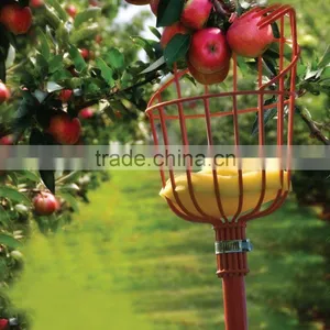 Factory Outlets Long Handle Telescoping Garden Tool Fruit Picking Device thumbnail-6