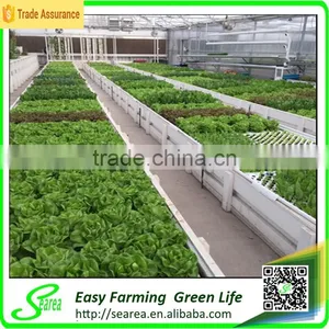 Searea Greenhouse Plastic Seed Tray for Greenhouse Hydroponic Lettuce thumbnail-2