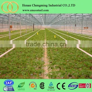 Vegetable Plastic Film Cover Tropical Greenhouses thumbnail-3