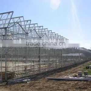 Large Span Venlo Glass Garden Greenhouses for Agriculture thumbnail-1