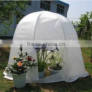 Mini Green House thumbnail-1