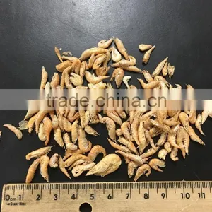Dried Shrimp 1-2cm Dry Animal Food thumbnail-1