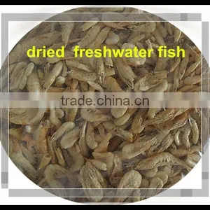 Freeze Fish Feed Dried Freshwater Shrimps thumbnail-1