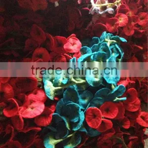 Felt Decorative Flower /Wool Flower/ Artificial Flower thumbnail-1