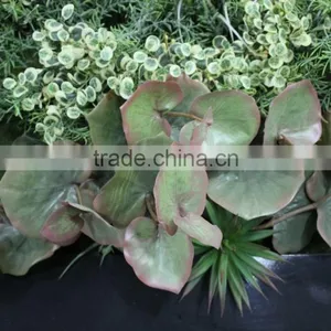 Windows Show Colorfull Ornament Grass Wall (180X80cm) Artificial Supermarket Grass Wall thumbnail-1