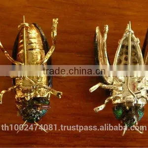 Beetle Wings 2014 Hot Sale Beetle Wings Brooches thumbnail-6