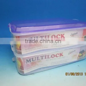 2 Tier Multi Purpose Container thumbnail-1