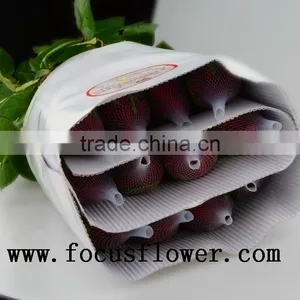 100% Percent Fresh Cut Jasmine Flower Price Rose Wholesale Carola With 0.6-0.8kg From Kunming thumbnail-6