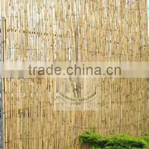 Reed Fences thumbnail-1