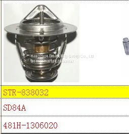 For CHERY Thermostat and Thermostat Housing 481H-1306020 thumbnail-1