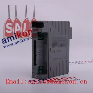 YOKOGAWA AAM50 Yokogawa Control System thumbnail-1
