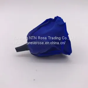 Wholesale3-4cm Elegant Real Touch Preserved Rose Flower thumbnail-2