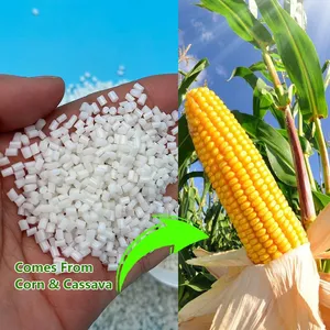 Biodegradable Plastic Materials Poly Lactic Acid PLA Pellets thumbnail-5