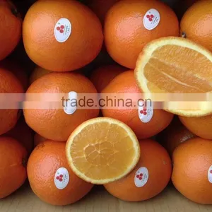 Baby Mandarin thumbnail-1