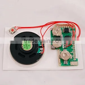 Customized Recordable Voice Recognition Chip With IC Chip thumbnail-1