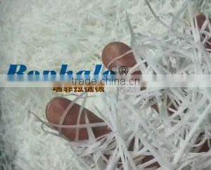 Automatic Stainless Steel Coconut Slicer thumbnail-4