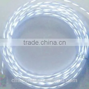 Chasing EL Wire thumbnail-2