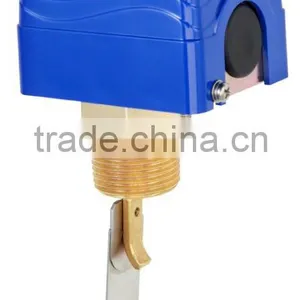 Paddle Type Flow Switch : DFS-1S thumbnail-1