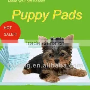 Disposable Small Animal Pet Training Pad thumbnail-1