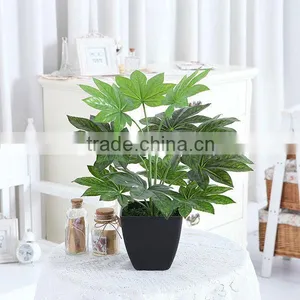 Artificial Mini Japan Fatsia thumbnail-1