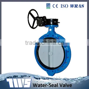 MD Worm Gear Cast Iron Wafer Butterfly Valve Wholesaler thumbnail-3