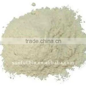 Garlic Plant Extract thumbnail-1