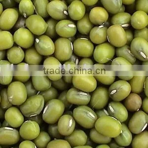Green Mung Bean thumbnail-1