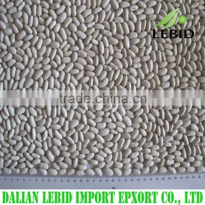 High Quality White Kidney Beans Spanish Type thumbnail-1