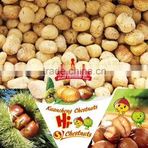 Bulk Frozen Chestnuts Castanea Sativa for Sale thumbnail-1