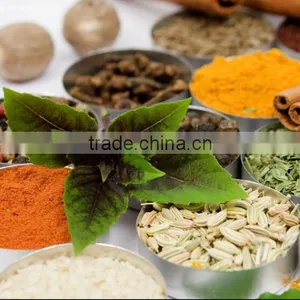 China Manufacturer Wholesale Fennel Powder Buying on thumbnail-1