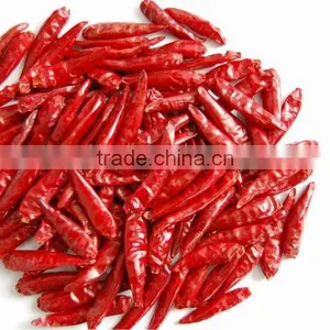 Exporters of Indian Sannam-S-4/334 Red Chilli Premium Grade thumbnail-3
