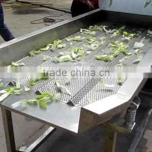 Vegetable Vibration Dehydrator Dewater Dewatering Machine(1.8meter Length) thumbnail-3