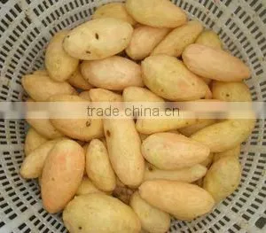 Ginger Washing and Peeling Machine Potato Brush Peeler Machine With Mix Brushes thumbnail-5