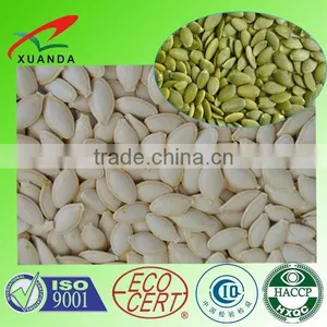 Pumpkin Seeds Shine Skin thumbnail-1