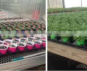 35 50 72 105 128 150 288 Cell Plastic Seed Tray ,seeding Tray for Agricultural thumbnail-5