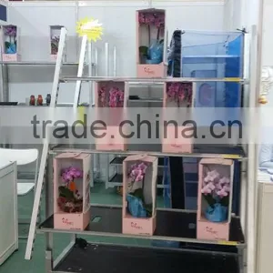 Flower Display Shelf / Flower Trolley/ Flower Transport Cart thumbnail-2