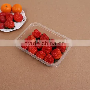 750ml Disposable PP Transparent Seafood Fruit Plastic Container thumbnail-4