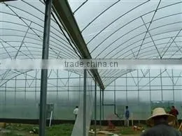 Film Greenhouse thumbnail-1