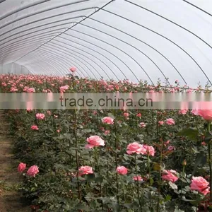 New Type Of Tunnel Greenhouse For Vegetables thumbnail-2