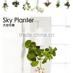 CT-457 Originality Fashion Sky Planter Hanging Plastic for Plants 9.5x9.5x13cm thumbnail-2