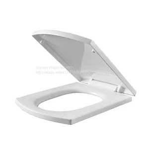 The Utility Model Relates to a Universal Toilet Cover, a Thickening Toilet Cover, a Cover Plate, a Slow Dropping Toilet thumbnail-1