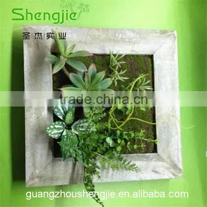 SJLJ013382 Artificial Plant Wall / Wholesale Artificial Succulent Plant for Wall Decoration thumbnail-5