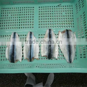 Best Season Seafood With Frozen Mackerel Fillets thumbnail-1