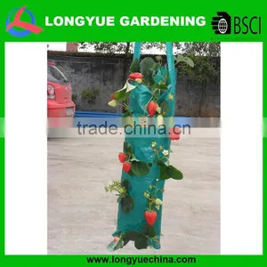 Hanging Strawberry Growing Bags thumbnail-1