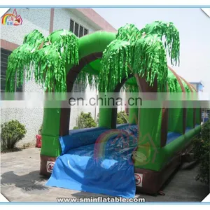 Funny Cheap Giant Inflatable Water Slide, Inflatable Double Lane Slip Slide,inflatable Slip n Slide for Adult thumbnail-1