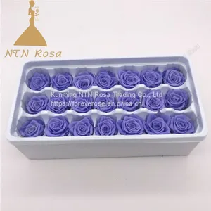 Top Festival Party Decoration Preserved Flower Supplier thumbnail-1