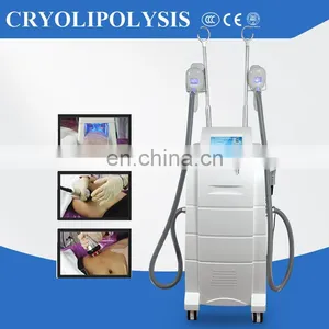 Cryolipolise With 4 Handles Fat Freezing Cryotherapy Machine thumbnail-2