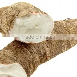 Best Prices Fresh Cassava Root Planter for Export thumbnail-1
