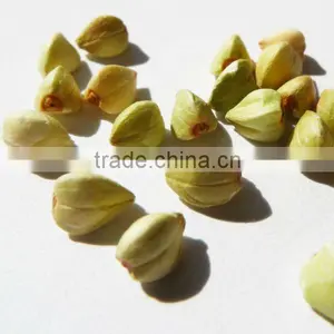 Organic Raw Buckwheat Kernel thumbnail-1